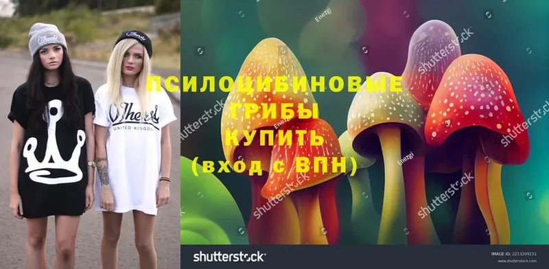 Псилоцибиновые грибы Psilocybe  Белогорск 